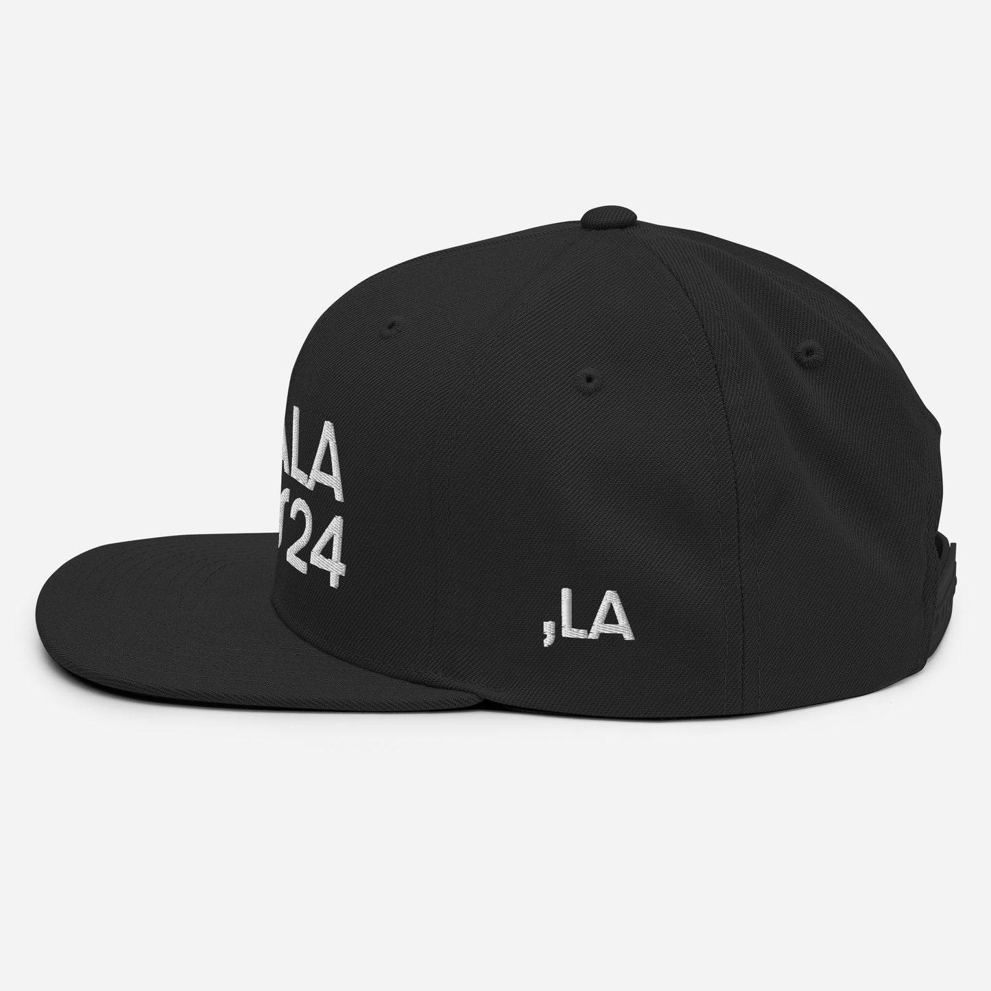 Snapback Hat - Kamala Harris '24